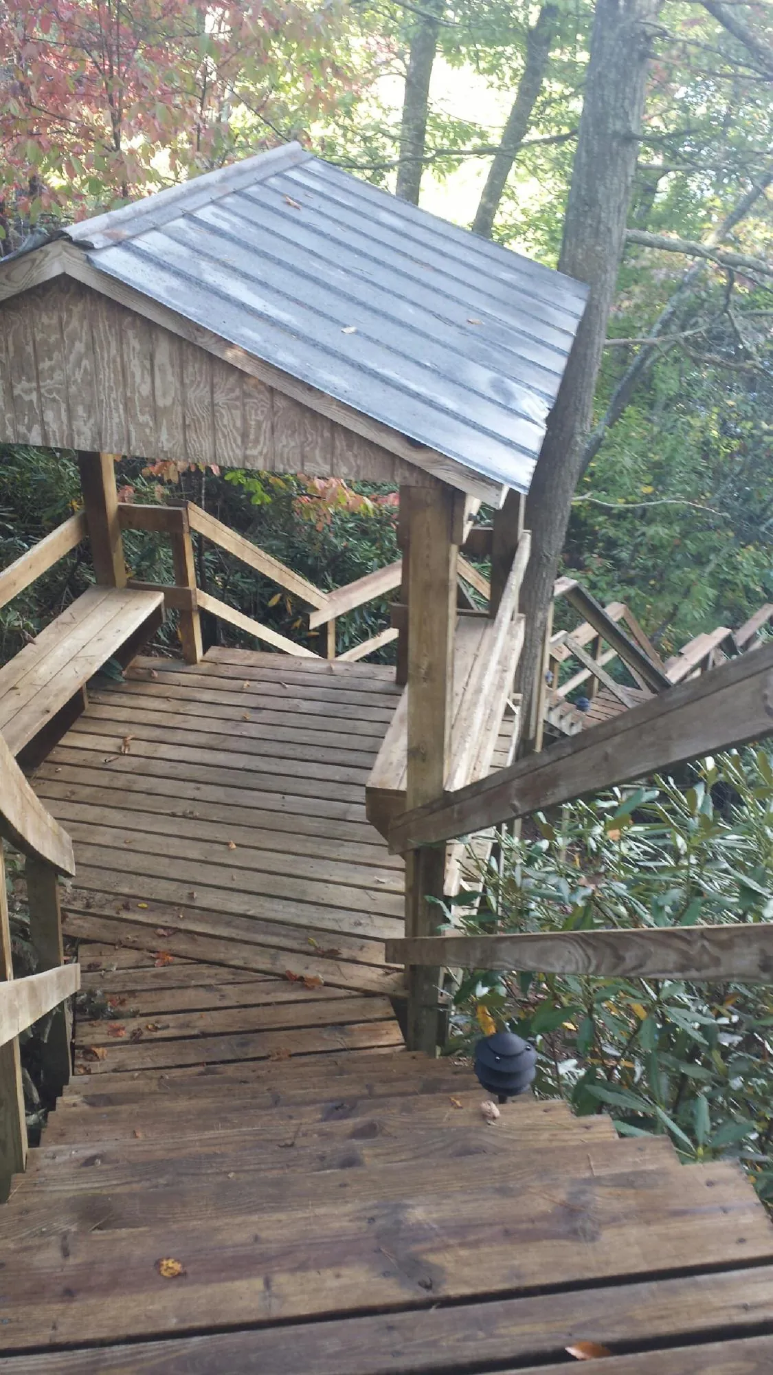 Metal roofed shelter over wooden steps on a wooded walkway — Skylight Repair & Installation work by our crew in Magalia